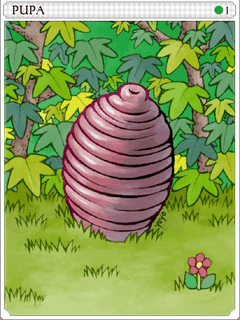 Pupa Card