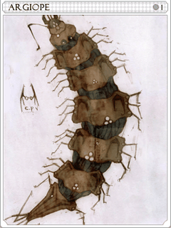 Argiope Card