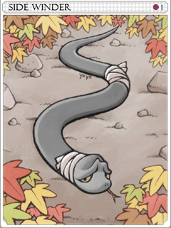Sidewinder Card
