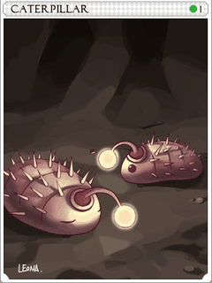 Caterpillar Card