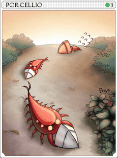 Porcellio Card