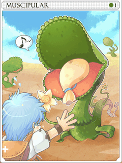 Muscipular Card